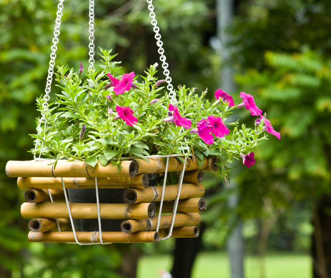 Hanging plants Apartment small patio ideas