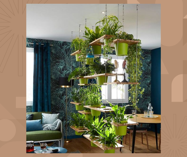 Plants partition