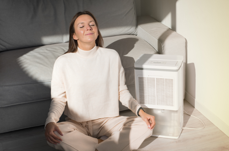 Dehumidifier for Small Apartment: 5 Best Options for a Cozy and Dry Living Space